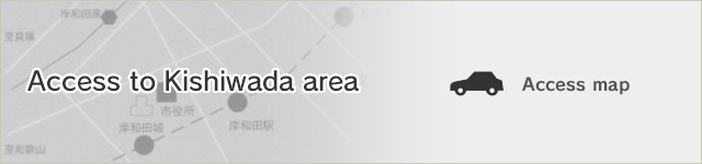 Access to Kishiwada area